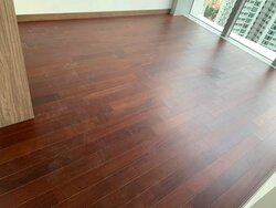 Commonwealth Drive (D3), Condominium #455935951